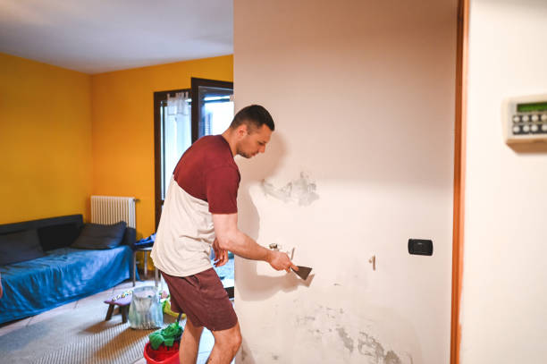 Trusted Virginia Beach, VA Mold Remediation Experts